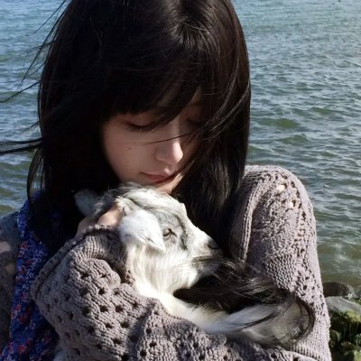 我是海鸥
